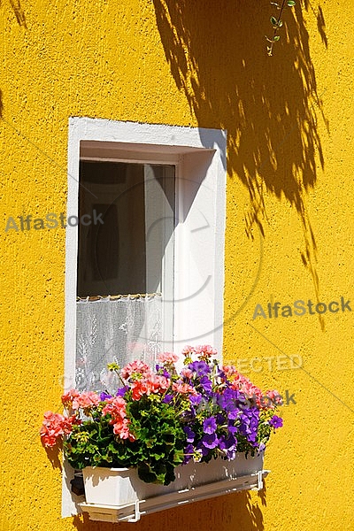 Door, Window