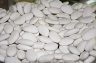 Mass of white Beans