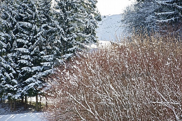 Roßhaupten, Rosshaupten, Ostallgäu in Bavaria in Germany.