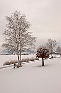Winter at Lake HopfenseeWinter at Lake Hopfensee in Germany