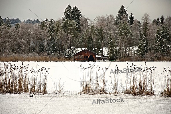 Winter in the Lake Hopfensee, Hopfen am See, Bavaria, Germany