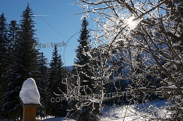 Winter, Tannheim Valley, Austria