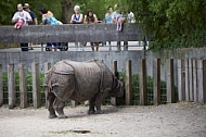 Zoo, Wild, Wilhelma, Stuttgart