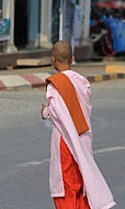 Buddhist Nun 