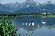 Hopfensee in Bavaria in Germany