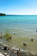 Mainau  island in Lake Constance, Germany
