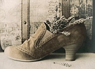 Still life with vintage shoe