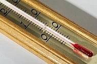 Worden thermometer with scale